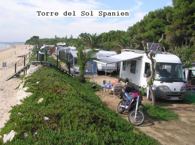 Toredesoll