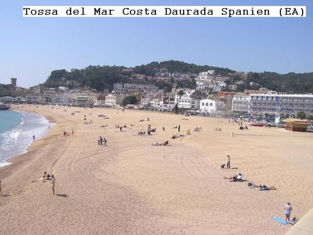 Tossadelmar